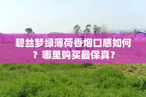 碧丝梦绿薄荷香烟口感如何？哪里购买最保真？
